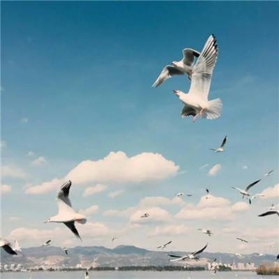 加强区域联动 开拓金融协同发展新路径